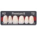 Kulzer Pala PREMIUM 6/8 NanoPearl Acrylic Teeth (Kulzers Highest Quality Full Anatomical Tooth Range) - 1 Card